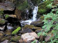 Photo of upper Mill Creek